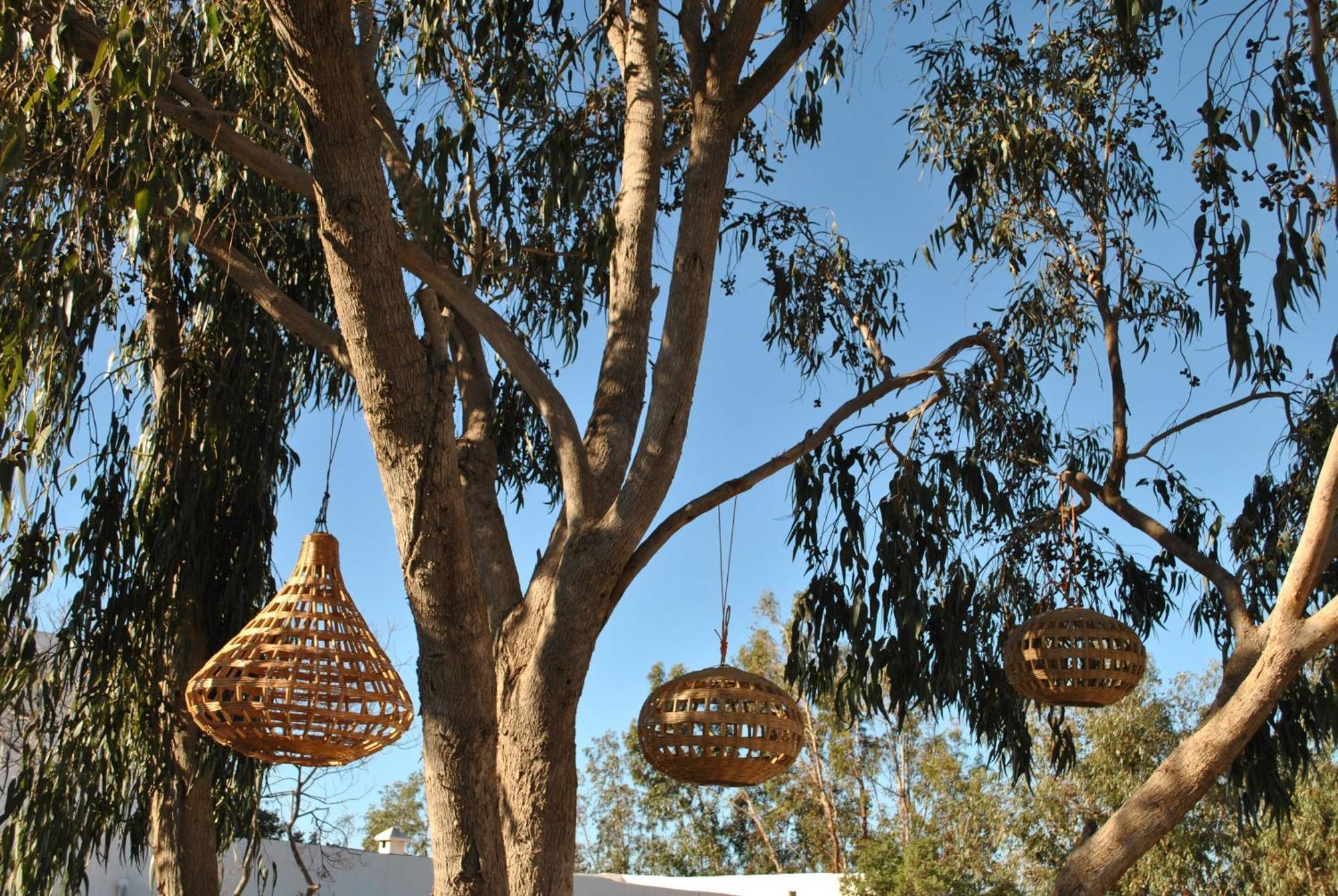 Maison Sidi Et Lalla Εσαουίρα Εξωτερικό φωτογραφία